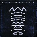 Ray Wilson & Stiltskin - SHE (CD)