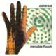 Genesis - Invisible Touch 2007 - SACD + DVD information and review