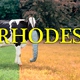 David Rhodes - Rhodes - CD review