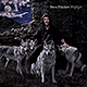 Steve Hackett - Wolflight - album review