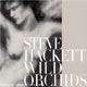 Steve Hackett - Wild Orchids - CD review