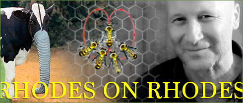 David Rhodes interview 2013