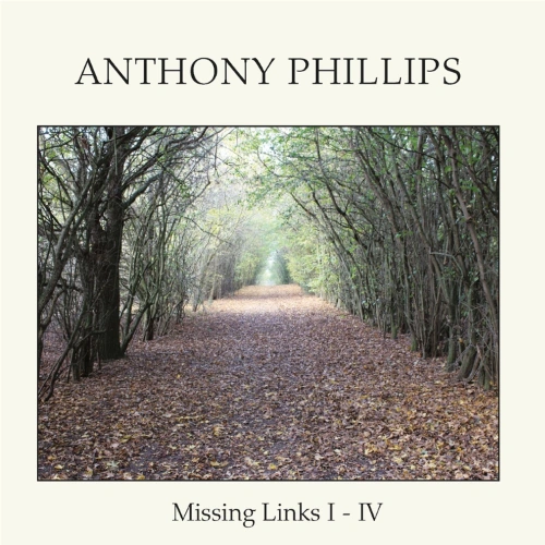 Missing Links I - IV (2020)