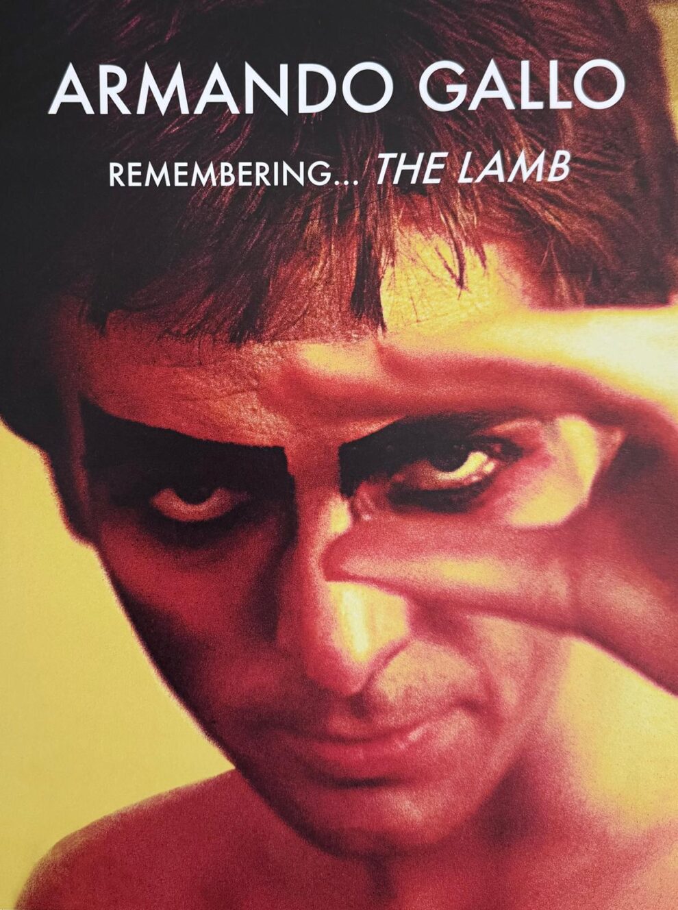 Armando Gallo - Remembering ... The Lamb book