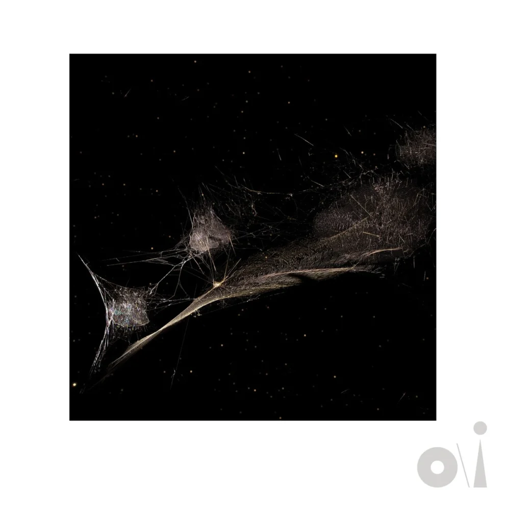 Put The Bucket Down - "Weaving The Cosmos" cover artwork by Tomás Saraceno