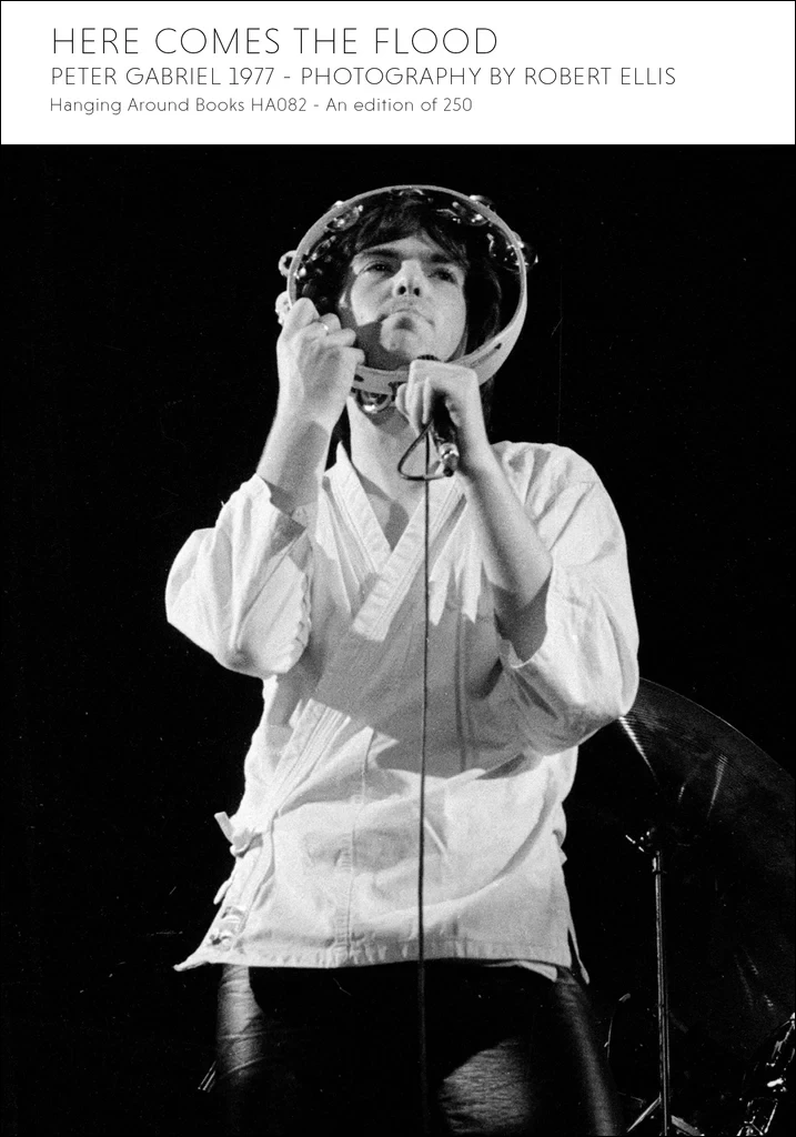 Robert Ellis Here Comes The Flood - Peter Gabriel 1977 book