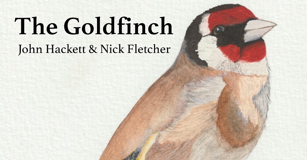 John Hackett: New album with Nick Fletcher