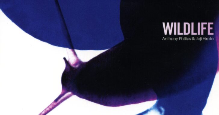 Anthony Phillips: Expanded "Wildlife" edition announced